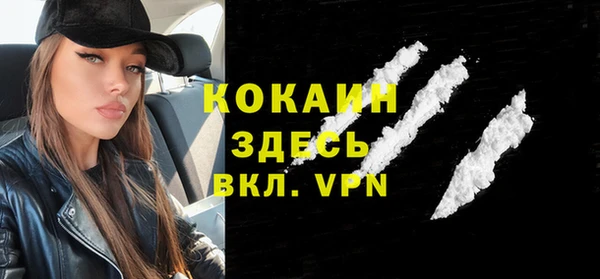 гашик Осинники