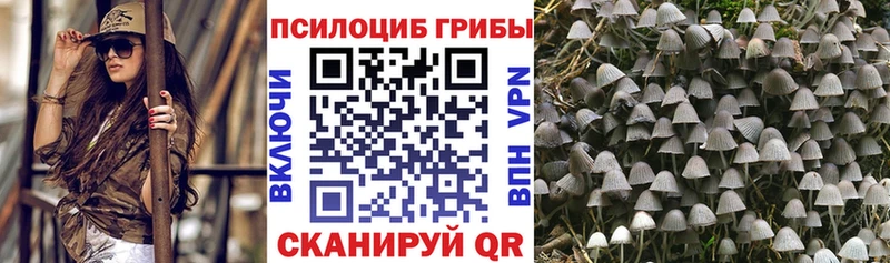 MEGA tor  Спасск  Псилоцибиновые грибы мухоморы 